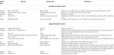 Animal Models of Cancer-Related Pain: Current Perspectives in Translation